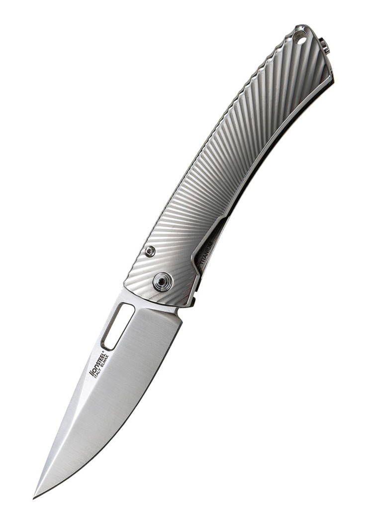 Taschenmesser TS1 Titan Shiny Grau, Lionsteel