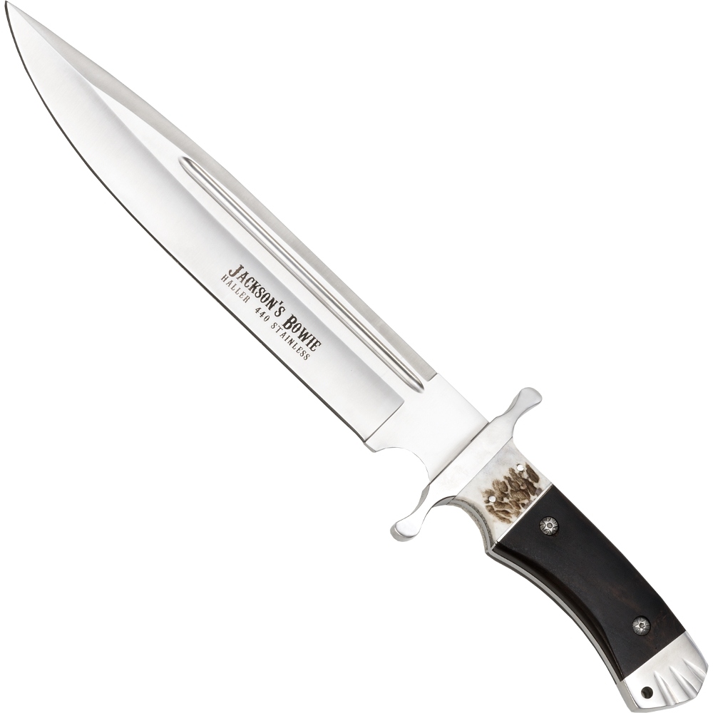 Jackson's Bowie Hirschhorn